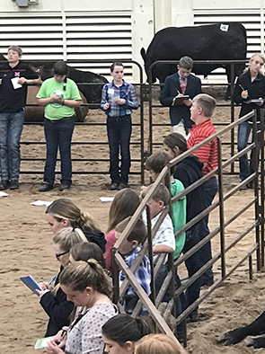 Lancaster County 4-H youth judging at the 2017 statewide Premiere Animal Science Events