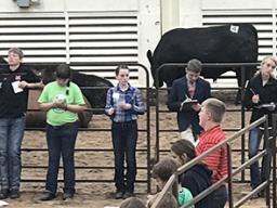 Livestock Judging Contest at the Premier Animal Science Events on UNL East Campus.