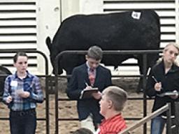 Livestock Judging Contest at the Premier Animal Science Events on UNL East Campus.