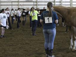 2017 4-H Horse Judging Contest