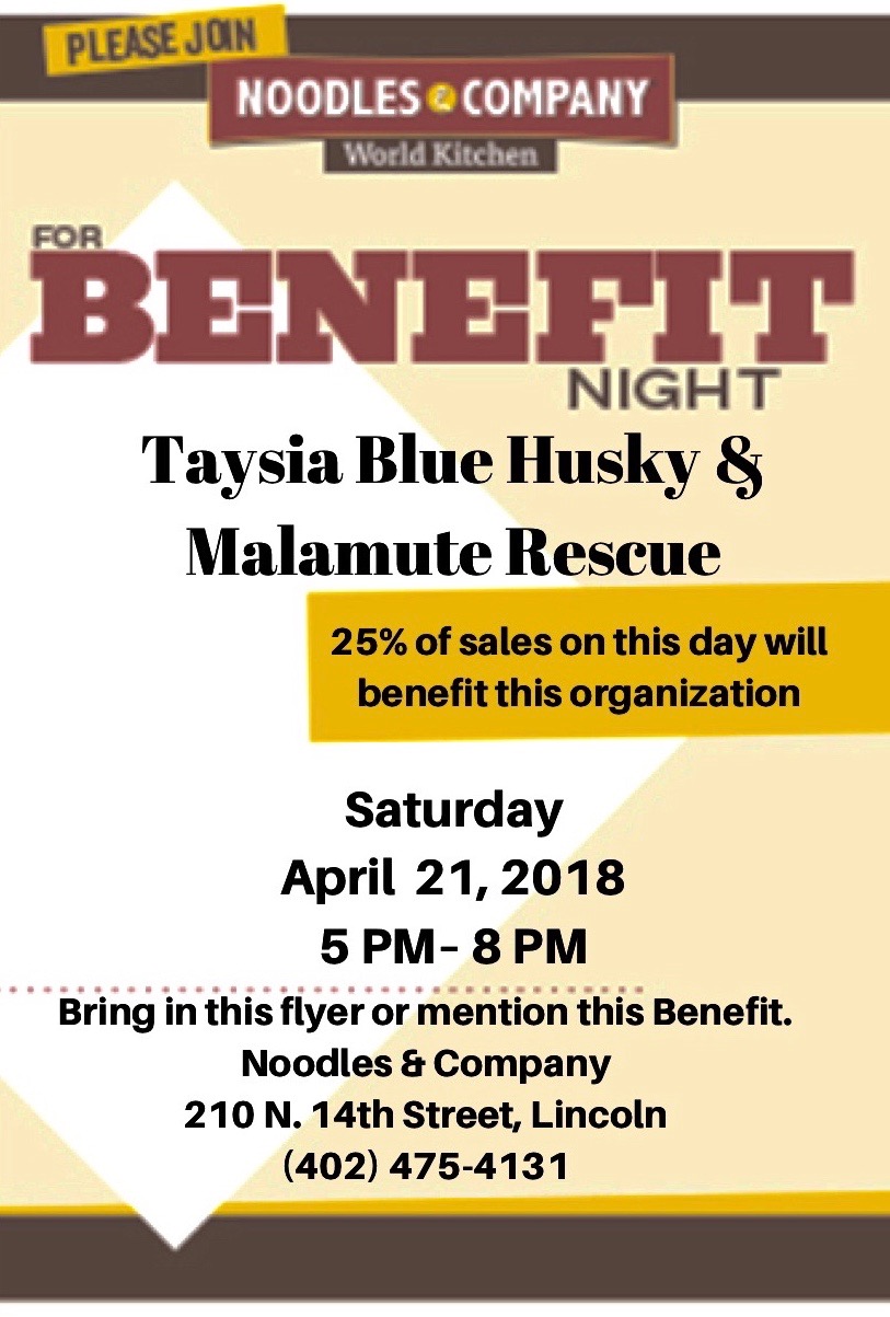 Taysia Blue Husky and Malamute Rescue benefit at Noodles & Company