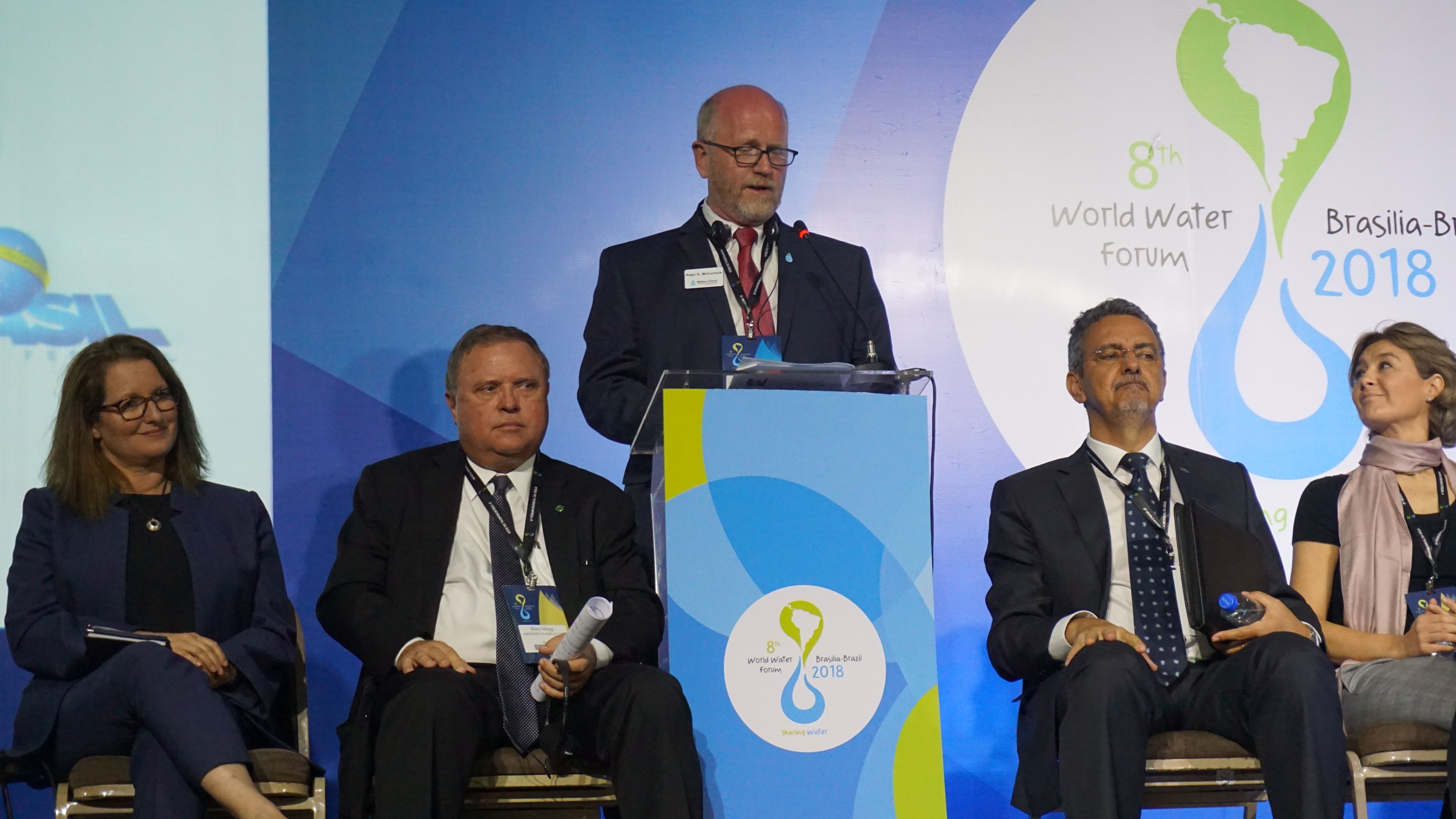 Water for Food High Level Panel, 8th World Water Forum, Brazil