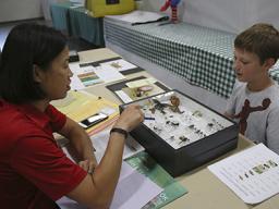 Jody Green interview judging an insect collection at the 2017 Lancaster County Super Fair.