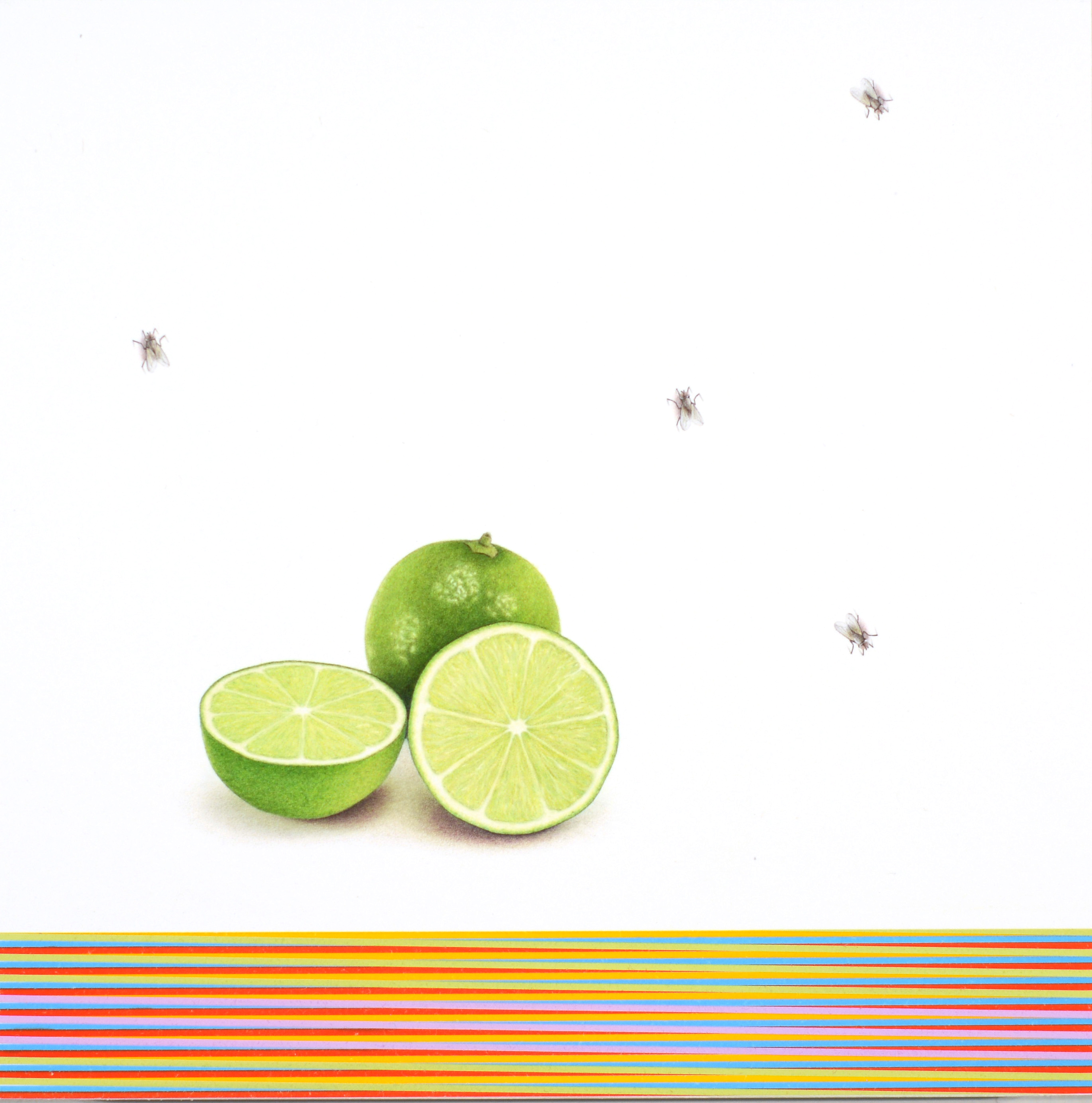 Francisco Souto, Two Limes and Four Flies, 10" x 10", 2018, colored pencils on paper.