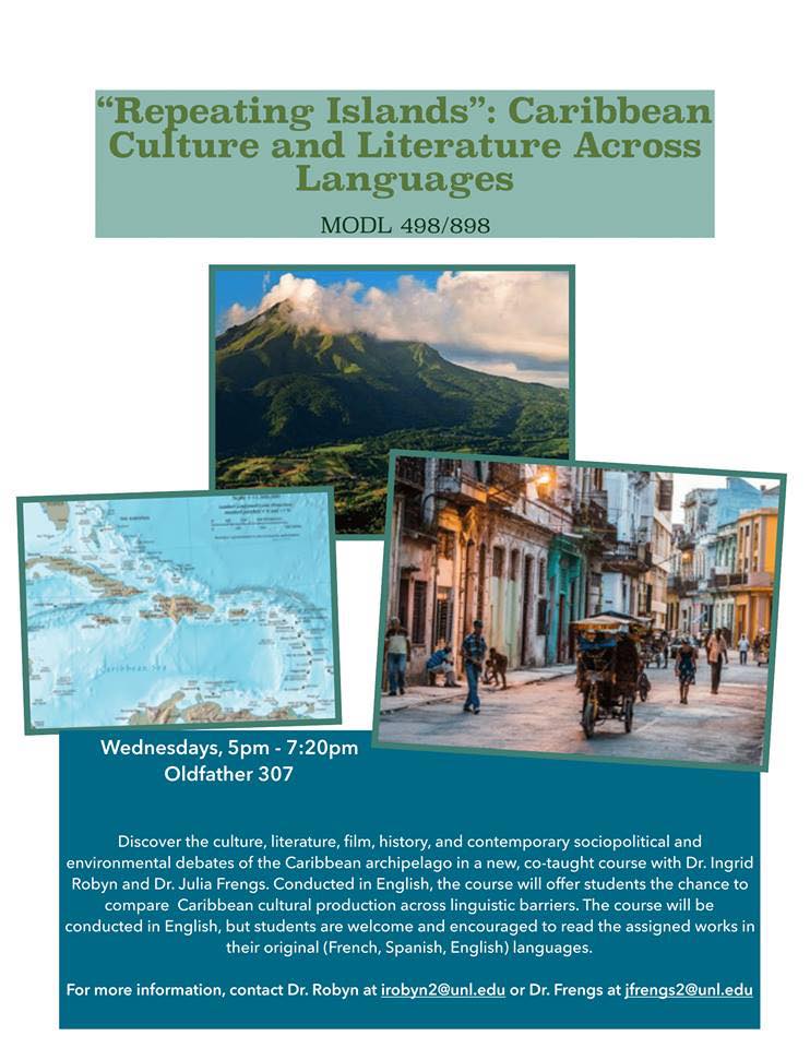 Fall Course: Region (Latin America) OR Theme (Identity, Culture & Society)