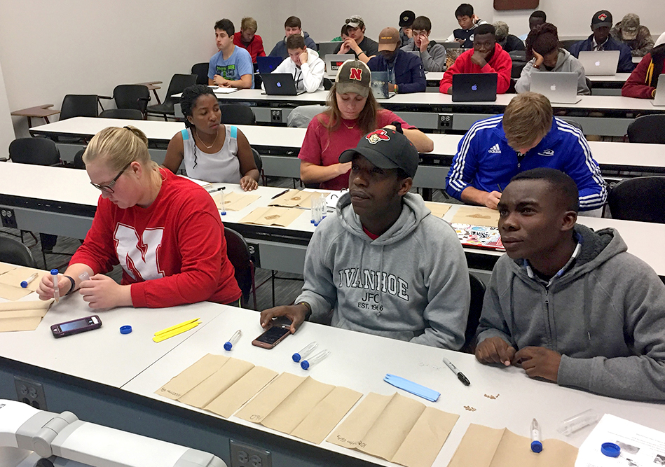 Students prepare wheat seeds for an experiment in Agronomy/Horticulture 131 Plant Science class at the University of Nebraska–Lincoln. | Courtesy Brian Waters, Agronomy and Horticulture