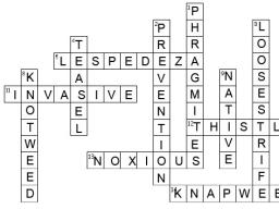 Crossword answer.jpg