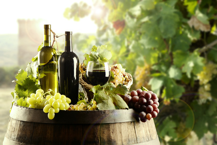 Join us for a tour of local wineries.