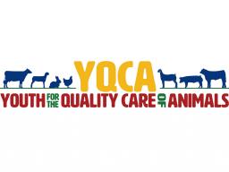 YQCA logo for e-newsletter.jpg
