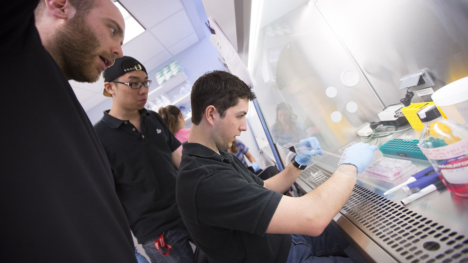 Nebraska students work in a biological systems engineering lab on campus.