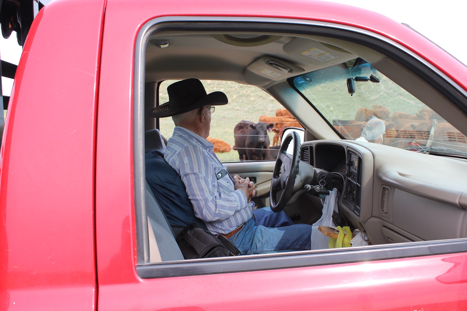 Use time behind the wheel as an educational opportunity by listening to podcasts.  Photo courtesy of Troy Walz.