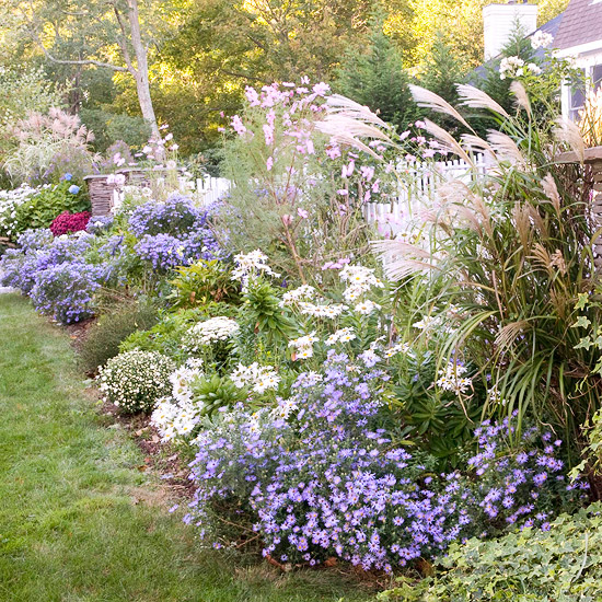 Learn to care for your plants in your landscape.