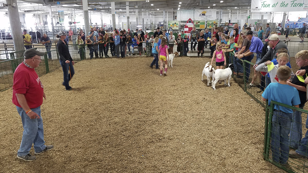Livestock Judging at Super Fair.jpg