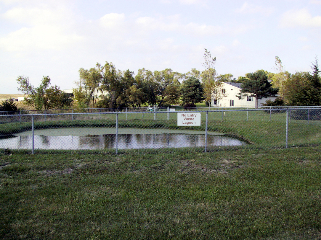 Properly maintained lagoons (pictured) avoid problems such as tall grass and overgrowth of algae.