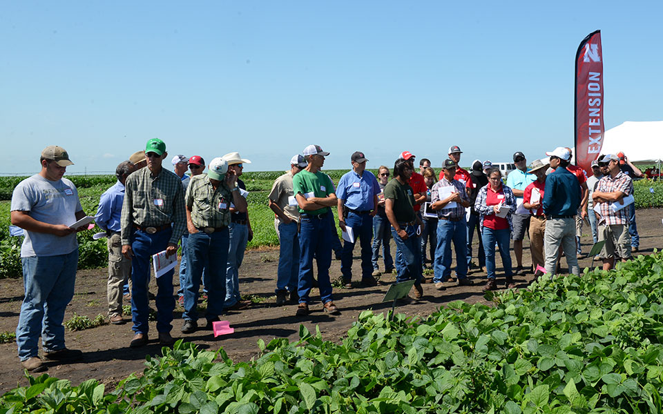 Amit Jhala speaks to a crowd of Weed Management and Cover Crops Field Day participants June 27 at the University of Nebraska–Lincoln South Central Agricultural Laboratory near Clay Center, Nebraska.