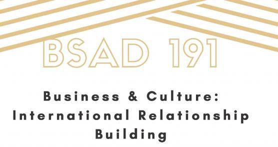 Business & Culture: International Relationship Building