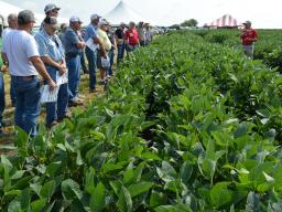 Cropping systems agronomist Roger Elmore covers the latest research and technology to assist soybean producers during a 2017 soybean management field day near Auburn. 