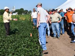 Amit Jhala, agronomy and horticulture associate professor and extension weed management specialist, discusses a project for control of glyphosate-resistant Palmer amaranth in soybean.