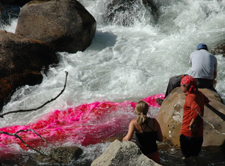 Students conduct a dye tracer test in the Popo Agie River near Lander, Wyo., to determine stream discharge and travel time. Courtesy School of Natural Resources.