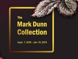 "The Mark Dunn Collection" opens on Friday, September 7, at the International Quilt Study Center & Museum. 