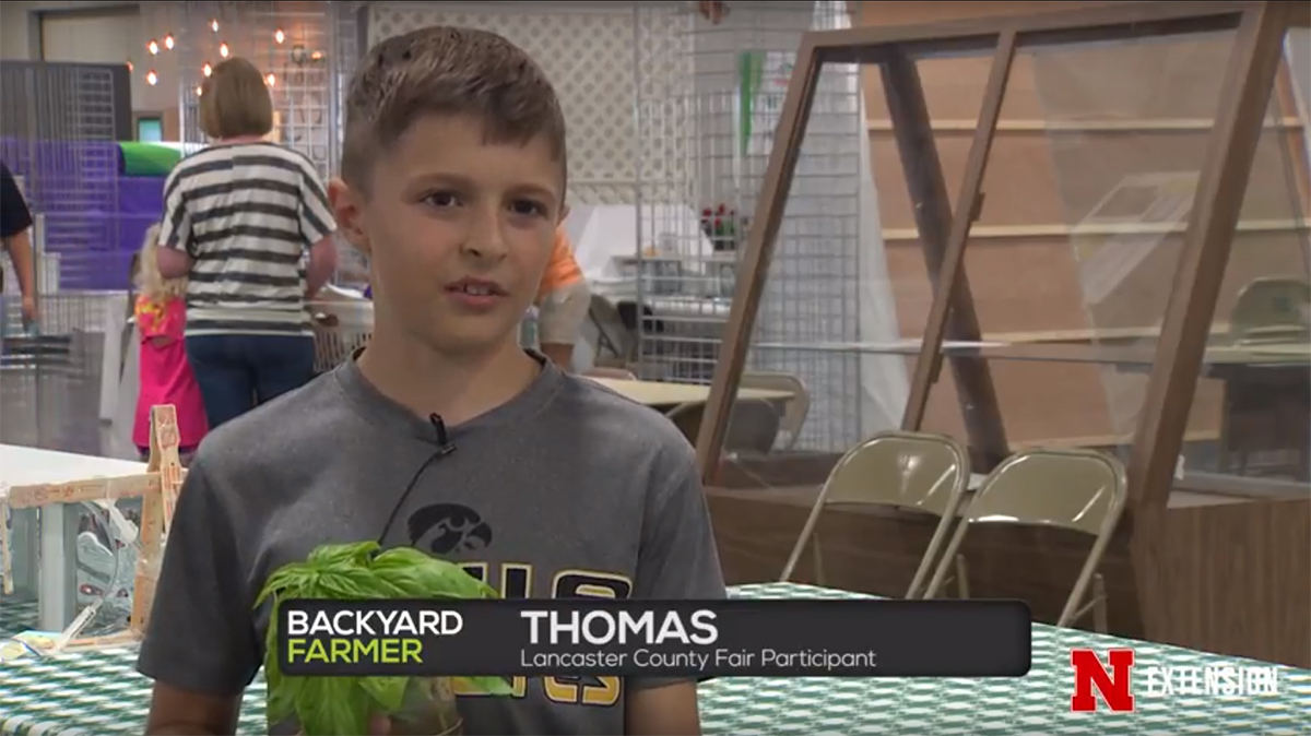 Backyard Farmer video: 4 H Judging at the Fair